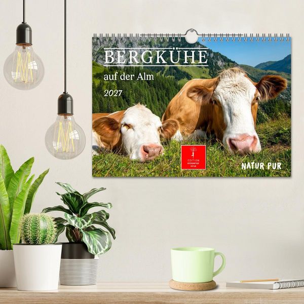 Produktbild: Bergk&uuml;he auf der Alm - Natur pur (Wandkalender 2027 DIN A4 quer), CALVENDO Monatskalender