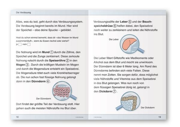 Produktbild: Ich kenne meinen K&ouml;rper - Ern&auml;hrung und Verdauung