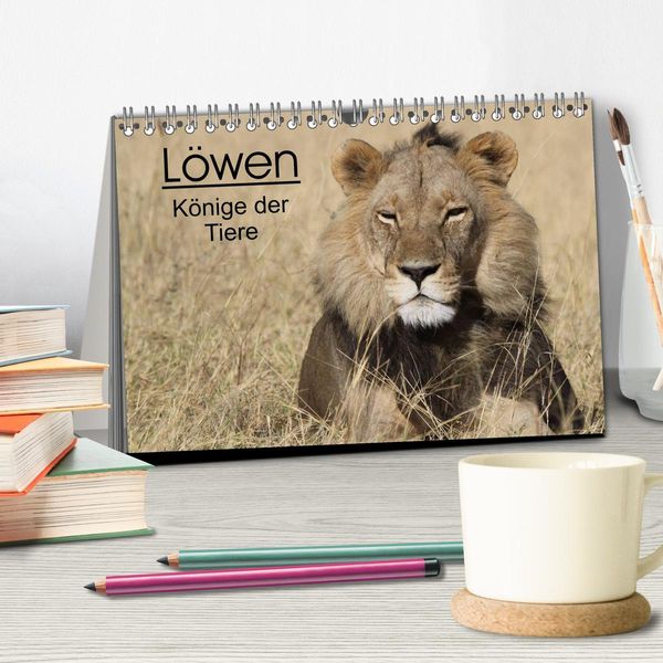 Produktbild: L&ouml;wen - K&ouml;nige der Tiere (Tischkalender 2026 DIN A5 quer), CALVENDO Monatskalender