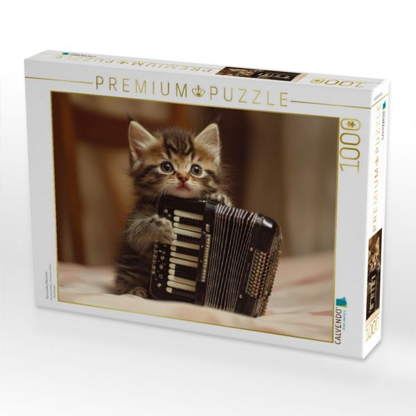 Produktbild: CALVENDO Puzzle Harmonika-K&auml;tzchen | 1000 Teile Lege-Gr&ouml;&szlig;e 64x48cm Foto-Puzzle f&uuml;r gl&uuml;ckliche Stunden