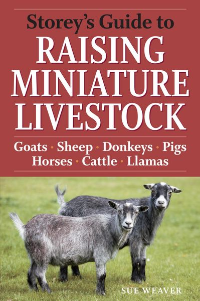Produktbild: Storey's Guide to Raising Miniature Livestock