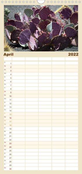 Produktbild: Familienplaner Faszination Kakteen (Wandkalender 2022 , 21 cm x 45 cm, hoch)