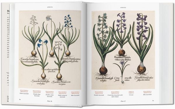 Produktbild: Basilius Besler