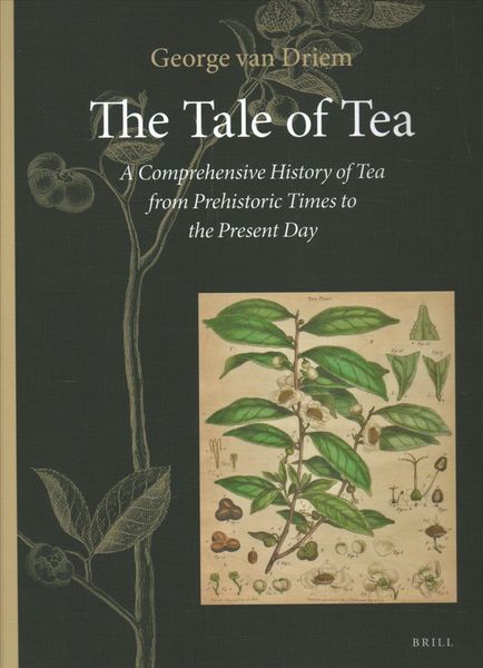 Produktbild: The Tale of Tea