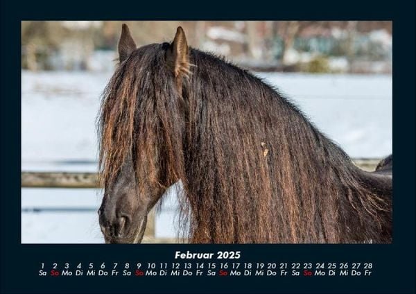 Produktbild: Die Welt der Pferde 2025 Fotokalender DIN A4