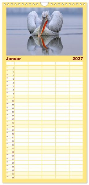 Produktbild: Familienplaner 2027 - Krauskopfpelikane mit 5 Spalten (Wandkalender, 21 x 45 cm) CALVENDO