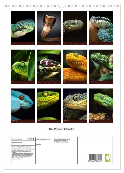 Produktbild: The Power Of Snake (Wandkalender 2026 DIN A3 hoch), CALVENDO Monatskalender