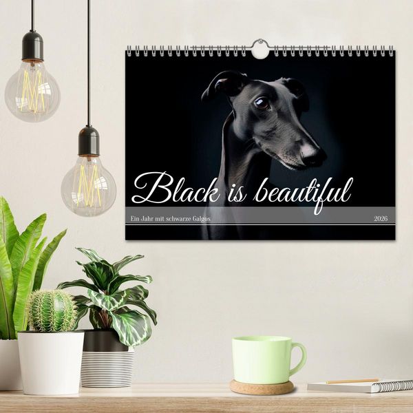 Produktbild: Black is beautiful (Wandkalender 2026 DIN A4 quer), CALVENDO Monatskalender