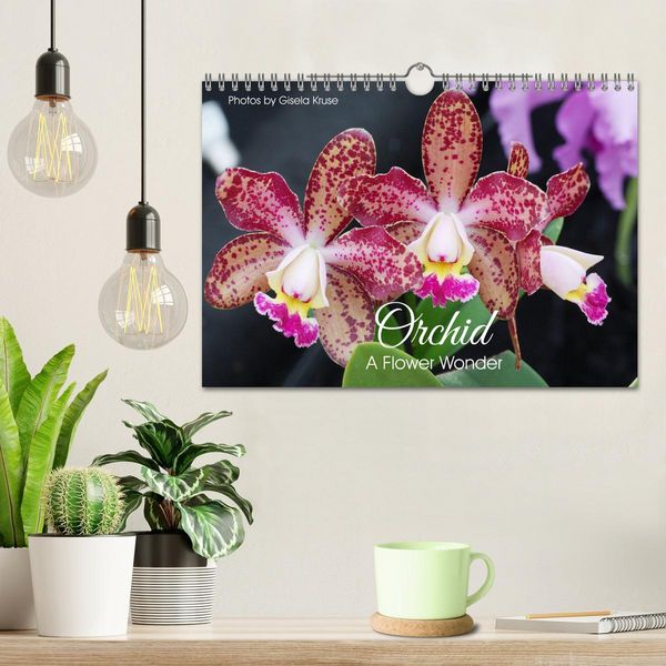 Produktbild: Orchid - A Flower Wonder (Wall Calendar 2026 DIN A4 landscape), CALVENDO 12 Month Wall Calendar