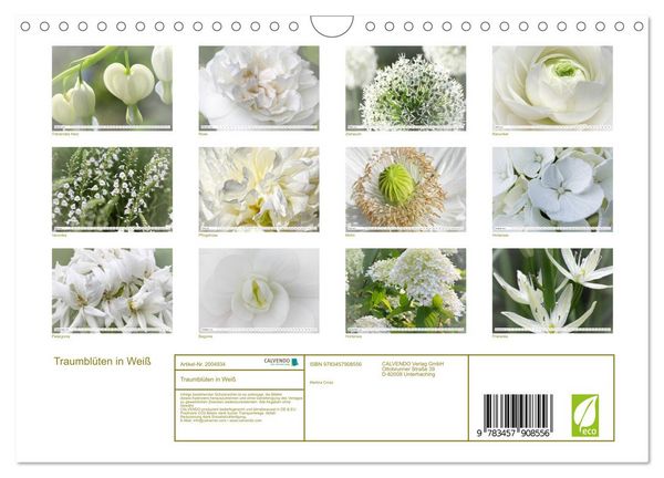 Produktbild: Traumbl&uuml;ten in Wei&szlig; (Wandkalender 2026 DIN A4 quer), CALVENDO Monatskalender