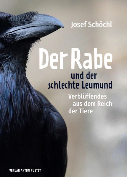 Produktbild: Der Rabe und der schlechte Leumund