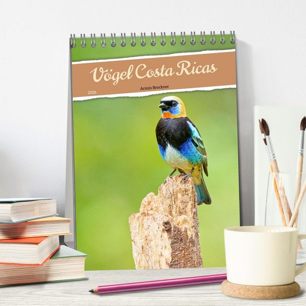 Produktbild: V&ouml;gel Costa Ricas (Tischkalender 2026 DIN A5 hoch), CALVENDO Monatskalender