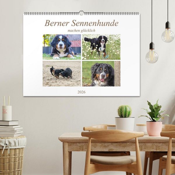 Produktbild: Berner Sennenhunde machen gl&uuml;cklich (Wandkalender 2026 DIN A2 quer), CALVENDO Monatskalender