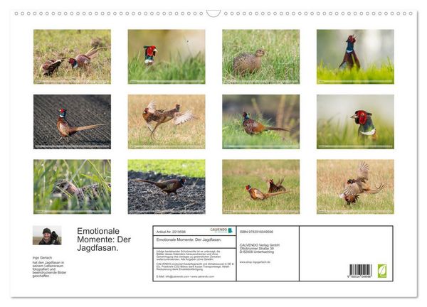 Produktbild: Emotionale Momente: Der Jagdfasan. (Wandkalender 2026 DIN A2 quer), CALVENDO Monatskalender