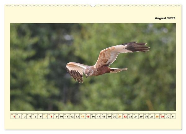 Produktbild: Tierwelt der W&uuml;mmeniederung (hochwertiger Premium Wandkalender 2027 DIN A2 quer), Kunstdruck in Hochglanz