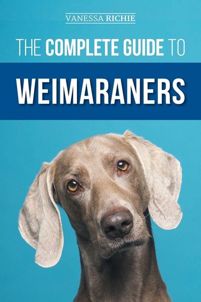 Produktbild: The Complete Guide to Weimaraners