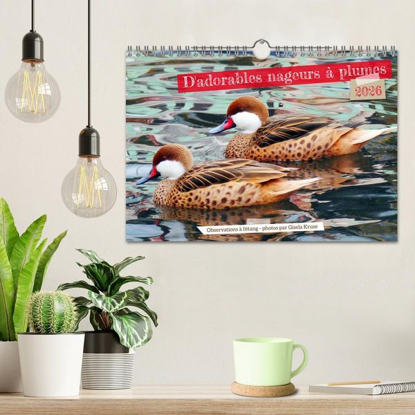 Produktbild: D'adorables nageurs &agrave; plumes (Calendrier mural 2026 DIN A4 vertical), CALVENDO calendrier mensuel
