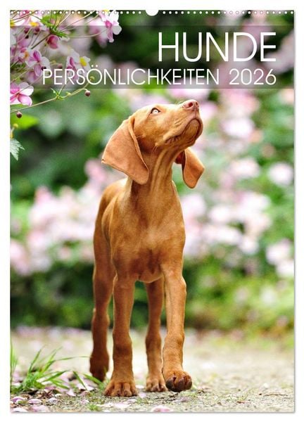 Hundepersönlichkeiten (Wandkalender 2026 DIN A2 hoch), CALVENDO Monatskalender