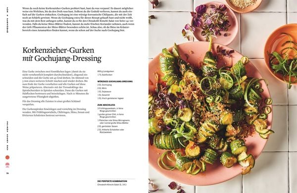 Salads every day