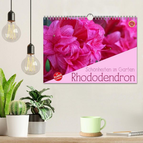 Produktbild: Rhododendron Sch&ouml;nheiten im Garten (Wandkalender 2026 DIN A4 quer), CALVENDO Monatskalender