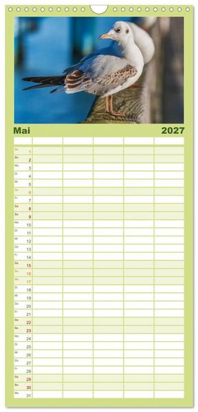 Produktbild: Familienplaner 2027 - Entdeckungen auf der Insel R&uuml;gen mit 5 Spalten (Wandkalender, 21 x 45 cm) CALVENDO