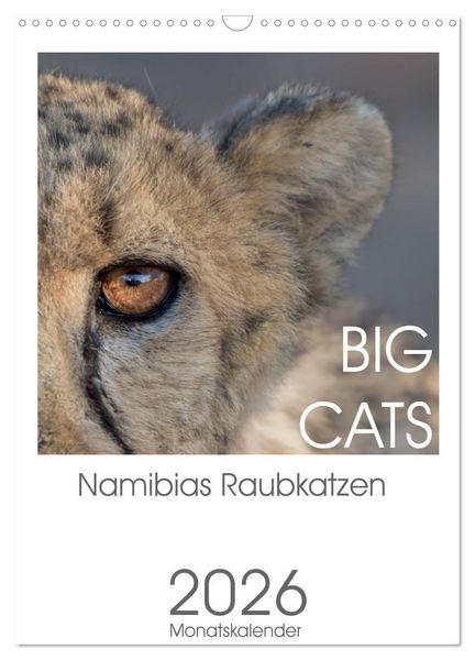 Produktbild: BIG CATS - Namibias Raubkatzen (Wandkalender 2026 DIN A3 hoch), CALVENDO Monatskalender