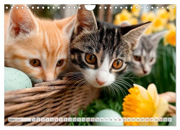Produktbild: Katzen - Jeder Moment ein Abenteuer (Wandkalender 2027 DIN A4 quer), CALVENDO Monatskalender