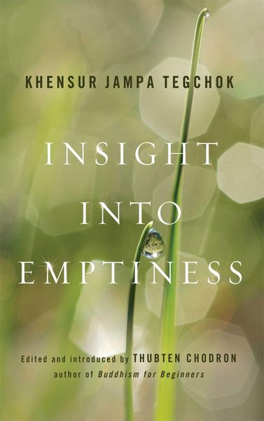 Produktbild: Insight into Emptiness