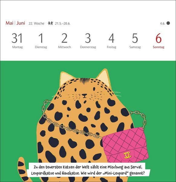 Produktbild: Unn&uuml;tzes-Wissen-Quiz Katzen Premium-Postkartenkalender 2027 - Kalender mit 53 R&auml;tselkarten