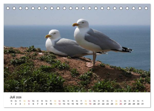 Produktbild: Helgoland Kalender (Tischkalender 2026 DIN A5 quer), CALVENDO Monatskalender