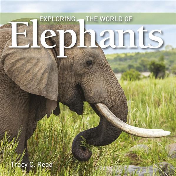 Produktbild: Exploring the World of Elephants