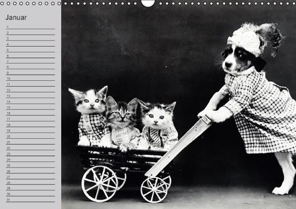 Produktbild: Katzen und Hunde - Nostalgie auf Pfoten (Wandkalender immerw&auml;hrend DIN A3 quer)