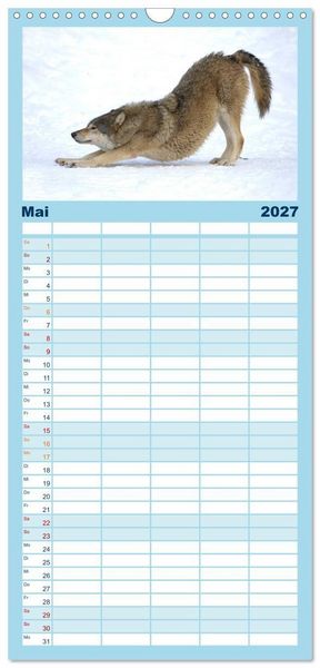 Produktbild: Familienplaner 2027 - Kanadische W&ouml;lfe im Winter mit 5 Spalten (Wandkalender, 21 x 45 cm) CALVENDO