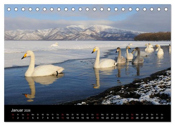 Produktbild: V&ouml;gel & Landschaften (Tischkalender 2026 DIN A5 quer), CALVENDO Monatskalender