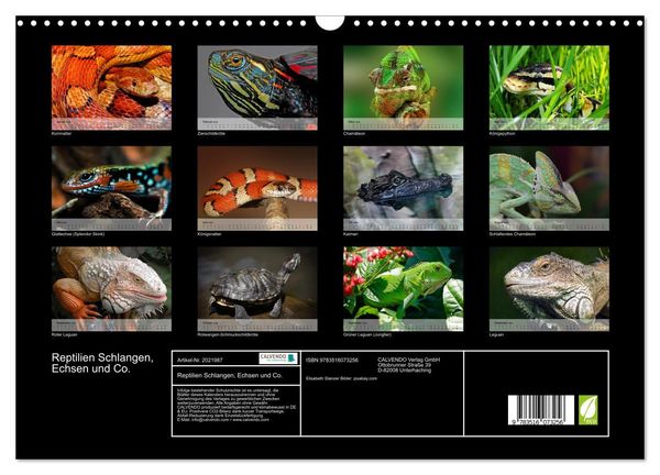 Produktbild: Reptilien Schlangen, Echsen und Co. (Wandkalender 2026 DIN A3 quer), CALVENDO Monatskalender