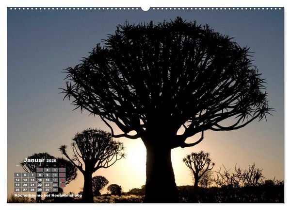 Produktbild: Namibia mal anders (hochwertiger Premium Wandkalender 2026 DIN A2 quer), Kunstdruck in Hochglanz