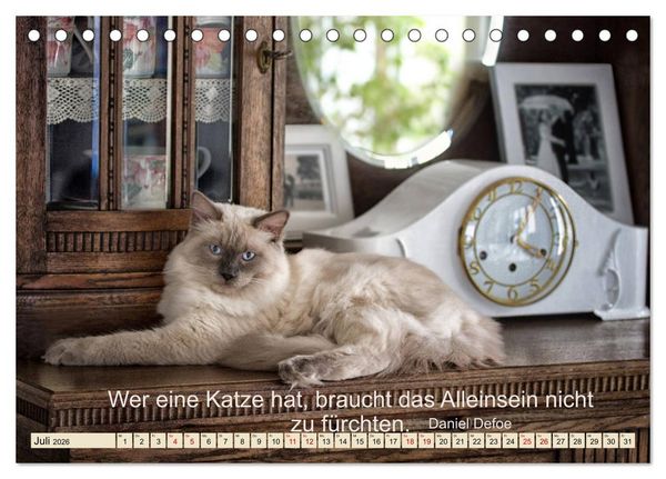Produktbild: Samtpfoten Lebendige Poesie (Tischkalender 2026 DIN A5 quer), CALVENDO Monatskalender