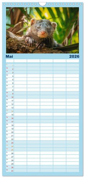 Produktbild: Familienplaner 2026 - Kleine freche Nerze mit 5 Spalten (Wandkalender, 21 x 45 cm) CALVENDO