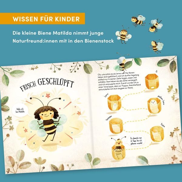 Produktbild: Wie Bienen leben. Matilda erz&auml;hlt.