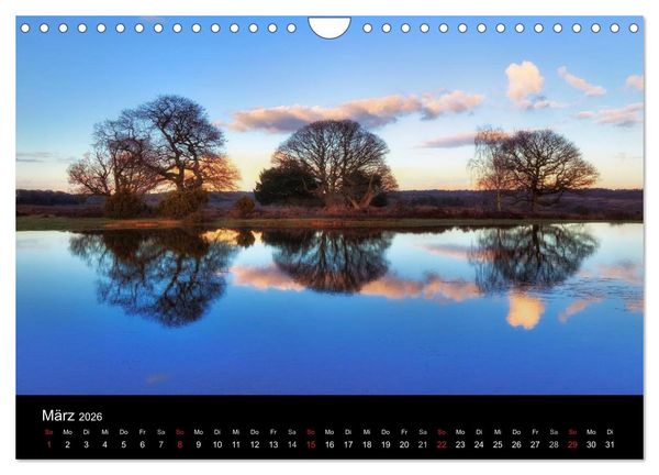 Produktbild: New Forest - England (Wandkalender 2026 DIN A4 quer), CALVENDO Monatskalender