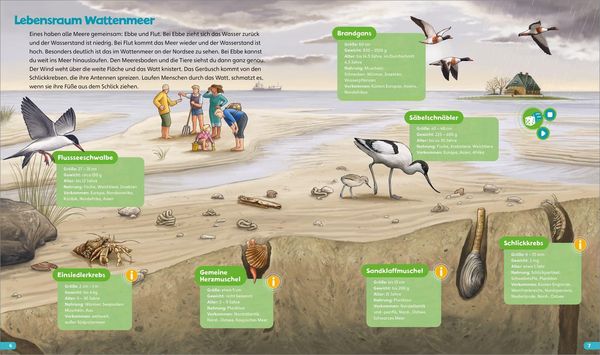 Produktbild: BOOKii&reg; H&ouml;ren und Staunen Im Meer und an der K&uuml;ste