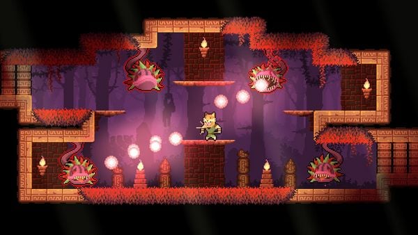 Produktbild: Dunjungle (Premium Edition)