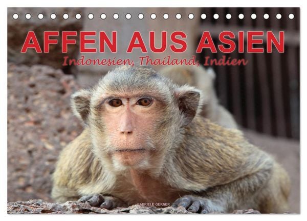 AFFEN AUS ASIEN Indonesien, Thailand, Indien (Tischkalender 2026 DIN A5 quer), CALVENDO Monatskalender