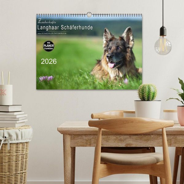 Produktbild: Zauberhafte Langhaar Sch&auml;ferhunde (Wandkalender 2026 DIN A3 quer), CALVENDO Monatskalender