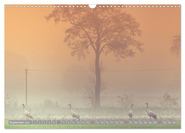 Produktbild: KranichRomantik (Wandkalender 2026 DIN A3 quer), CALVENDO Monatskalender
