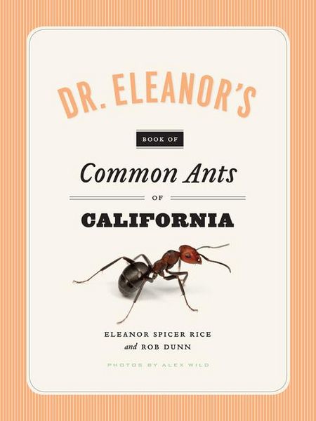 Produktbild: Spicer Rice, E: Dr. Eleanor's Book of Common Ants of Califor