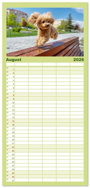 Produktbild: Familienplaner 2026 - Pudel in der Stadt. Urbane Momente voller Charme und Lebensfreude mit 5 Spalten (Wandkalender, 21 x 45 cm) CALVENDO