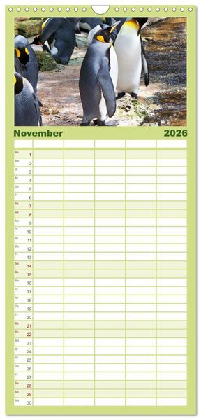 Produktbild: Familienplaner 2026 - Pinguine - Watscheln im festlichen Kleid mit 5 Spalten (Wandkalender, 21 x 45 cm) CALVENDO