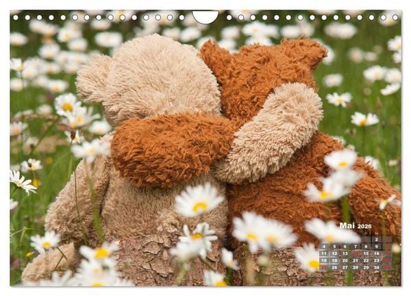 Produktbild: Geliebte B&auml;ren - Teddys (Wandkalender 2026 DIN A4 quer), CALVENDO Monatskalender