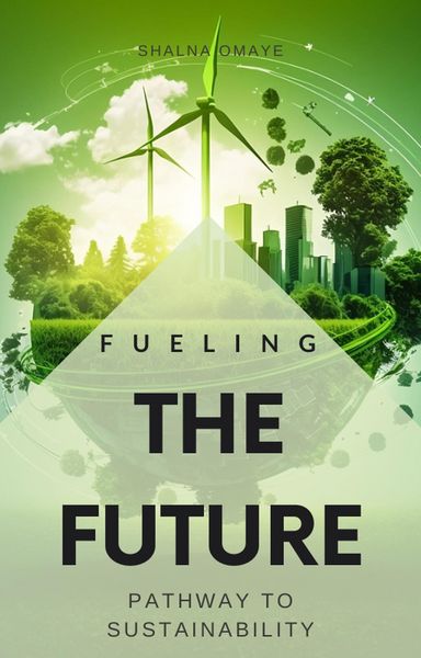 Produktbild: Fueling the Future: Pathway to Sustainability (Questing4Answers, #3)